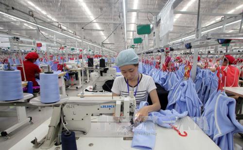 Doanh nghiệp dệt may dạy tiếng Anh miễn phí cho công nhân ảnh 1